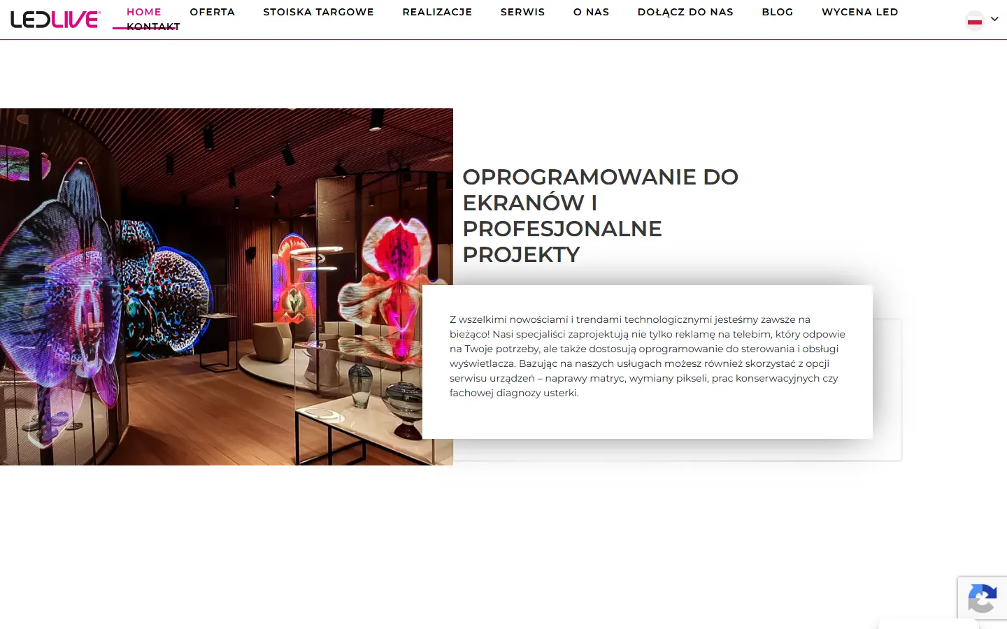 Ledlive official website screenshot