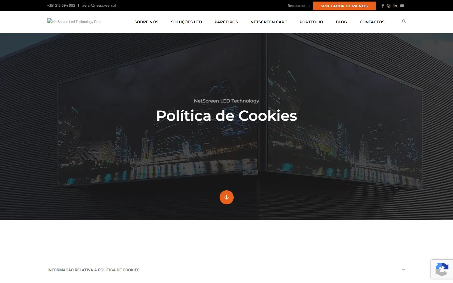 NetScreen LED Technology official website screenshot